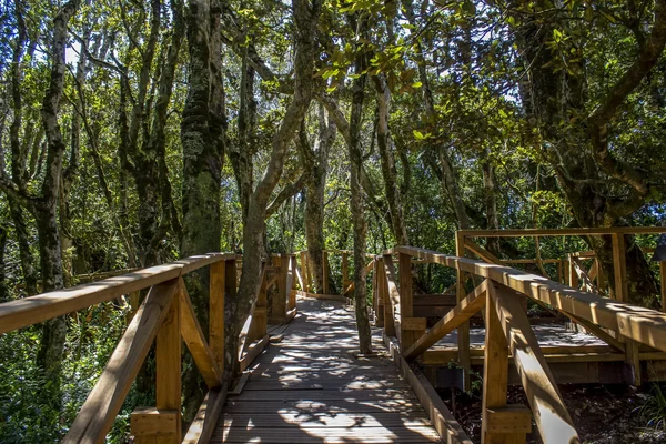 Vista previa de Proyecto: Análisis Meteorológico